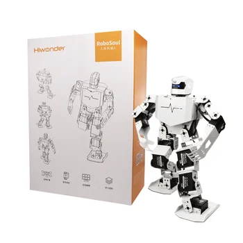 

NEW Humanoid Dancing Robot Dance Robosoul H5S Intelligent Education Programmable Bionic Robot Toys
