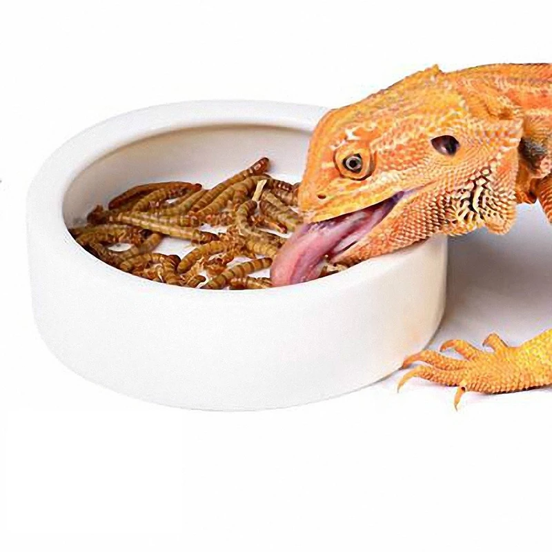 

Reptile Dish Reptile Gecko Feed Bowl Bowl Escape Proof Feeding Bowl Bearded Dragon Worm Dish with FeedingTweezers Tongs Ceramic
