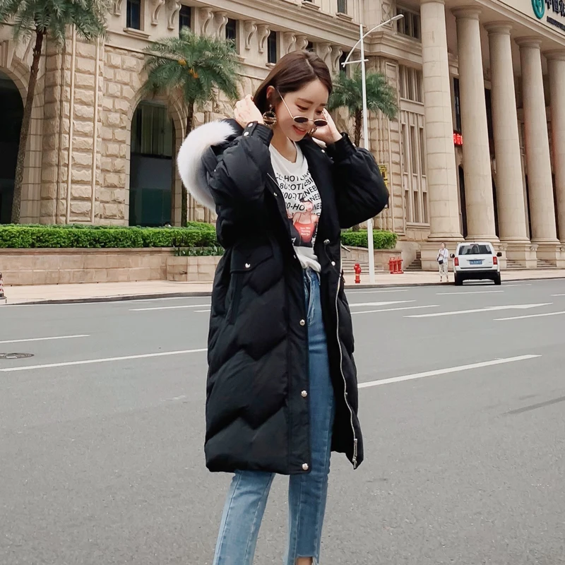 O1CN01kPGeU41vsTFndmlNx_!!2583236228