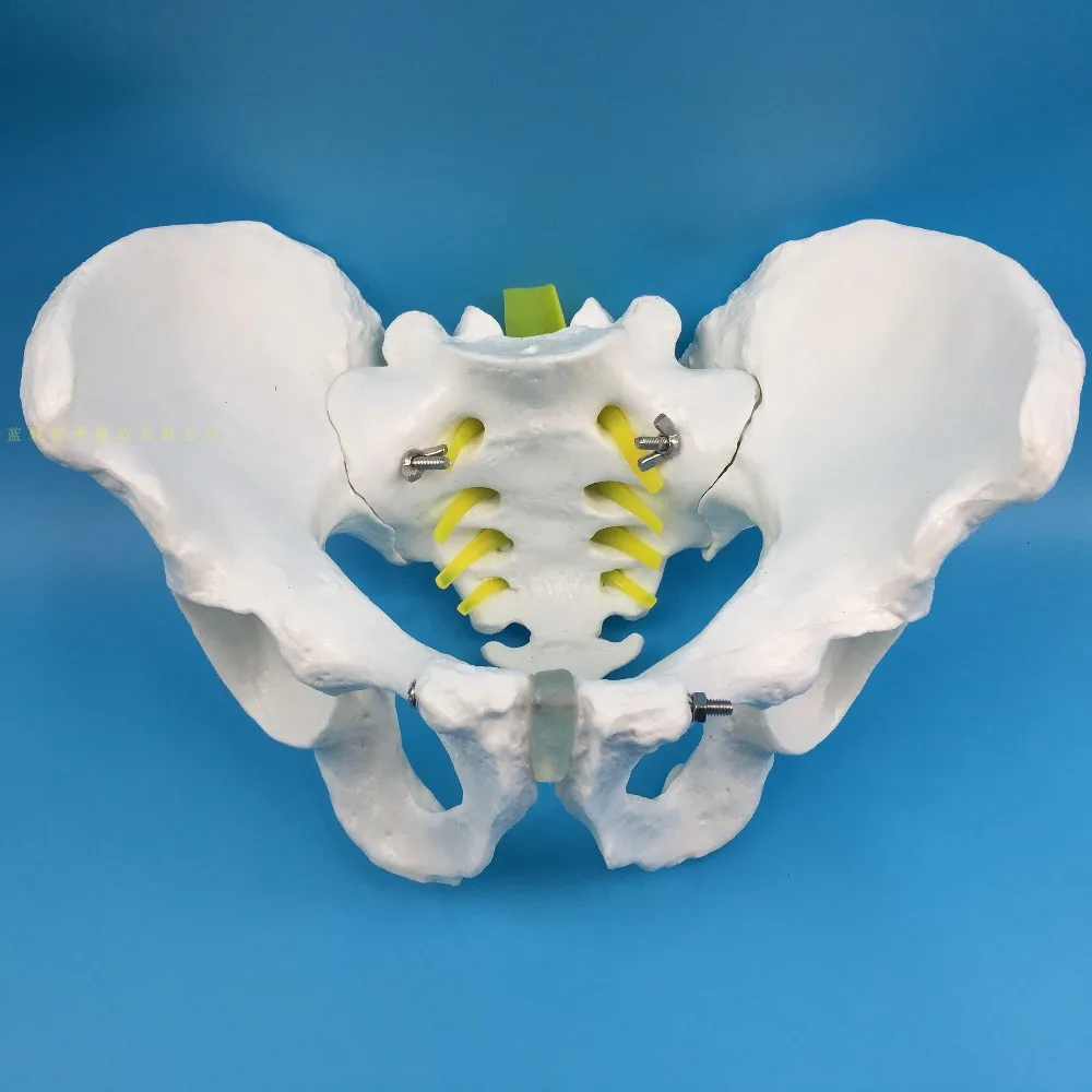 HTB1rdjeavb2gK0jSZK9q6yEgFXaV