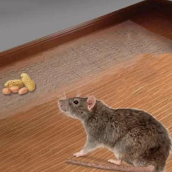 

Waterproof Killing Mouse Rat Trap Killer Clear Invisible Mouse Glue Trap For Indoor Mice Mouse Board Sticky