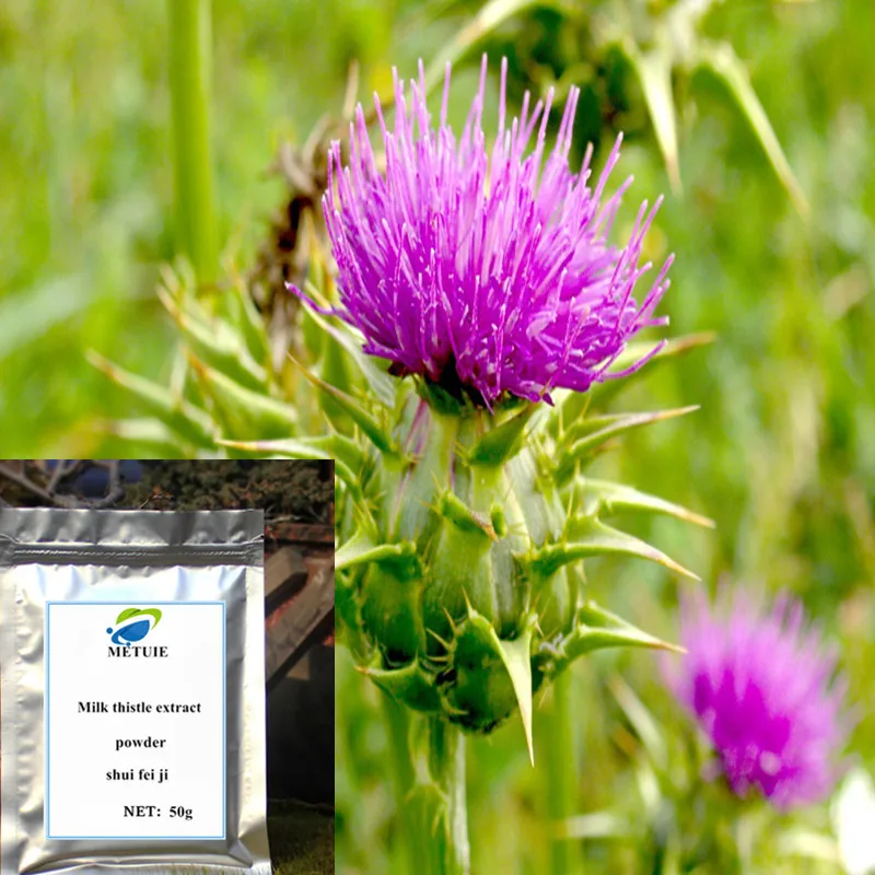 

Silymarin Powder 80% of Natural Milk Thistle Extract Was Not Added Shui Fei ji Free shipping