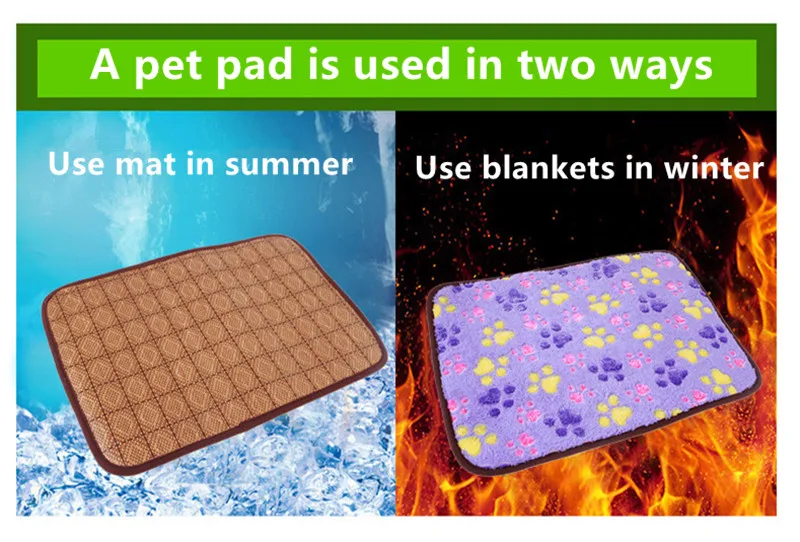 3344403881_906868034