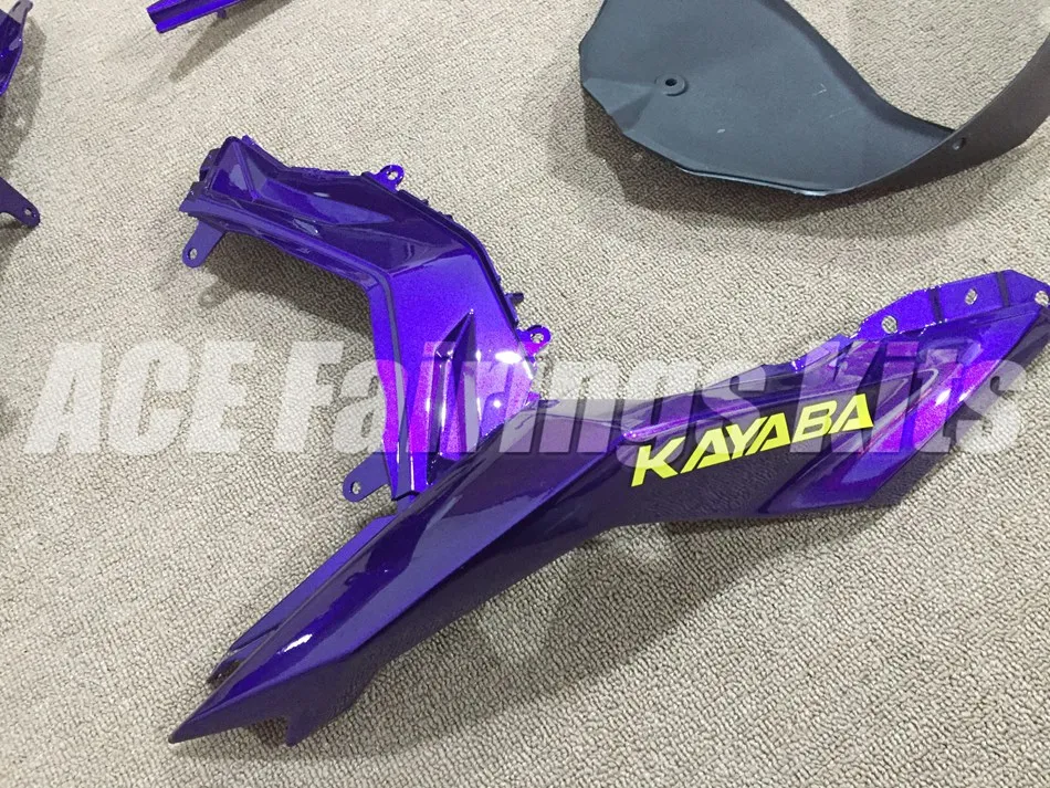 NINJA300 13-14 (677)