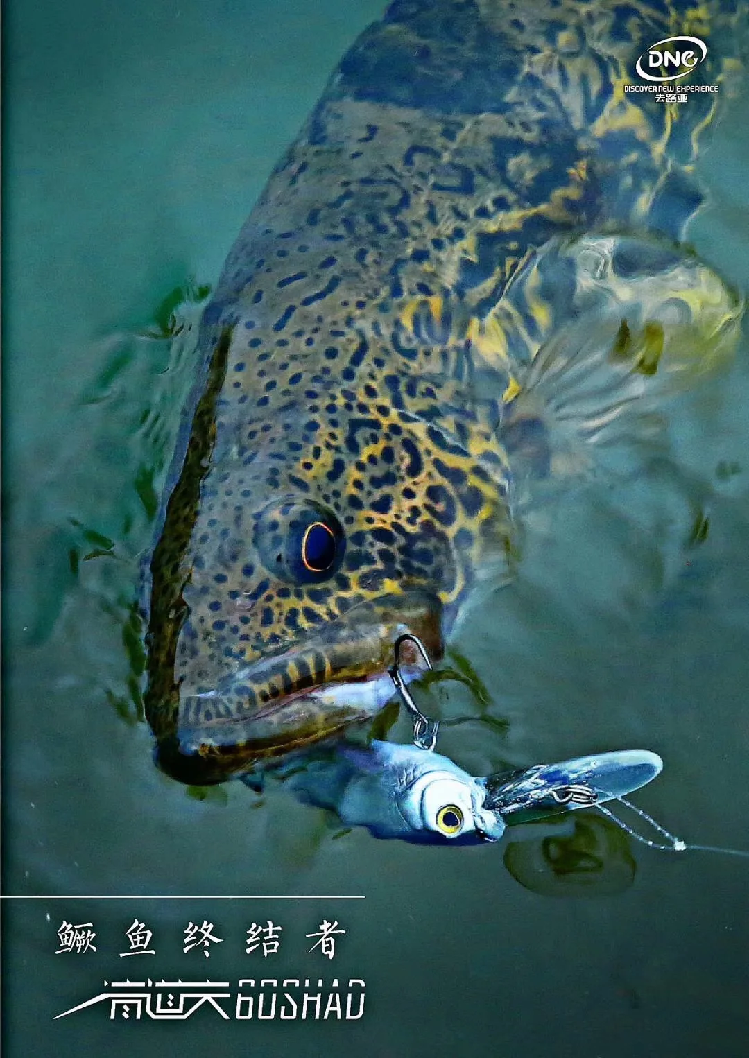Мусорщик Shad Hover Mino приманка Topmouth Culter бас мандарин рыба