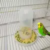 TPFOCUS Feeder Dual parrot birds Purpose Bird Feeder Automatic Water Drinker for Parrots Birds Chassis diameter 13 cm