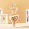 Transparent Creative Glass Bottles Decoration Crafts Transparent Dust-Proof Stand Dessert Candy Jars Tea Caddy Boxes Storage Jar 2