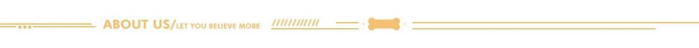 4-about us分割条4