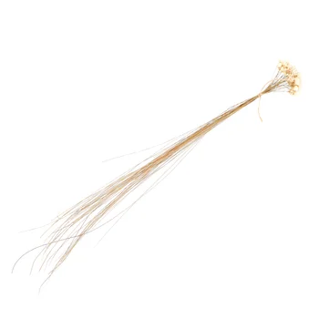 

1 Bunch of Daisy Dried Flower Romantic Japanese Style Lovely Flower Arrangement Dried Flower Bouquet Dried Daisy Bouquet for Hom