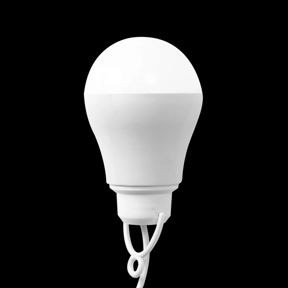 

2019 Trendy Hot Color PVC Environmental Protection 5V 5W USB Bulb Light Portable LED Lighting Bulb