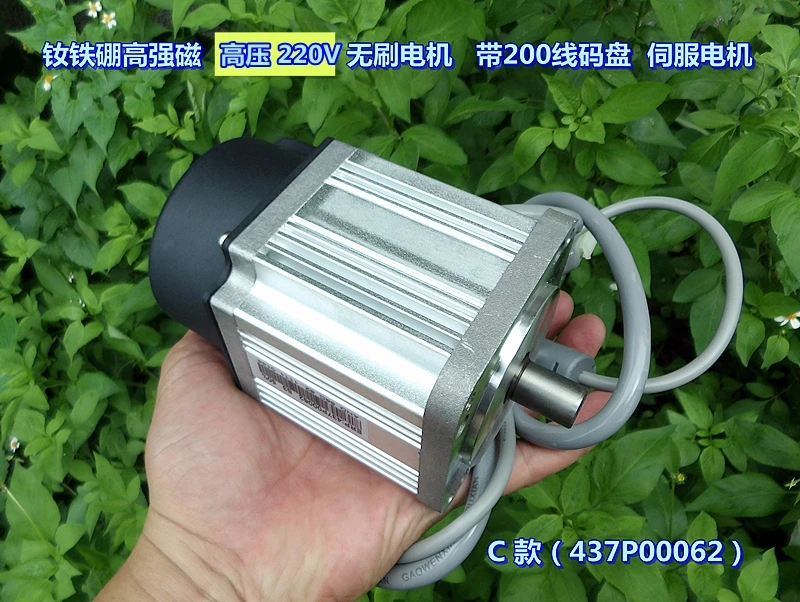 220V DC резистор высокое напряжение высокая NdFeB магнитный бесщеточный мотор сервоприводах(Джек трамвай) мотор