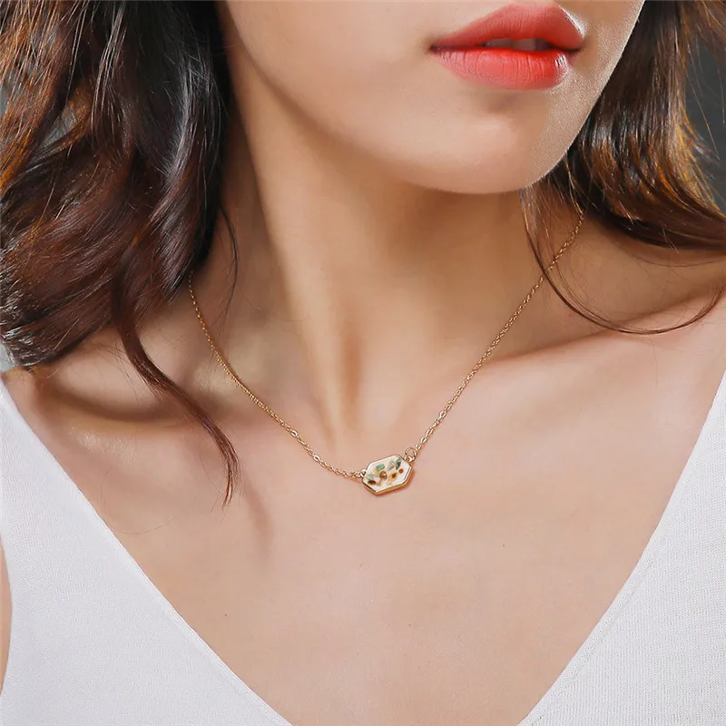 11359708344_1849977708