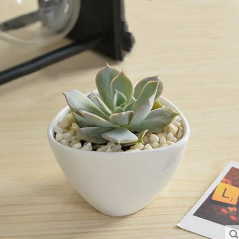 

Creative Succulent Ceramic Pots Small Bonsai Family and Garden Office Decoration Mini Flowerpot Decoration E.