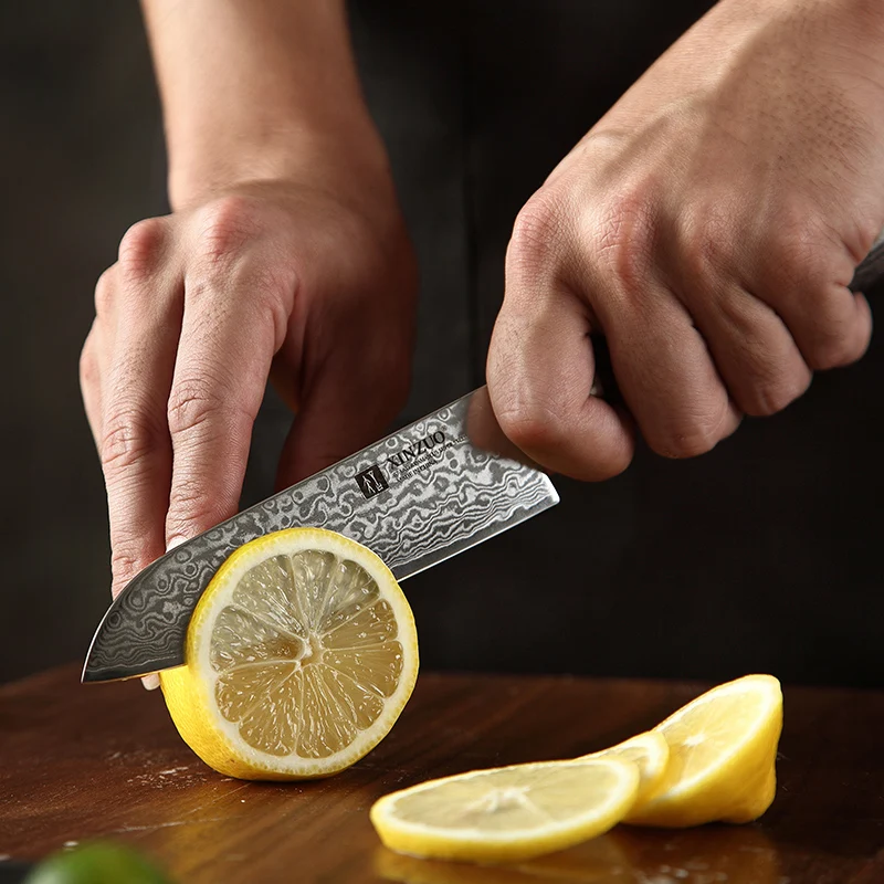 XINZUO " Santoku ножи 67 слоев японский стиль VG10 дамасский кухонный нож шеф-повара для овощей кованая сталь Pakkawood ручка