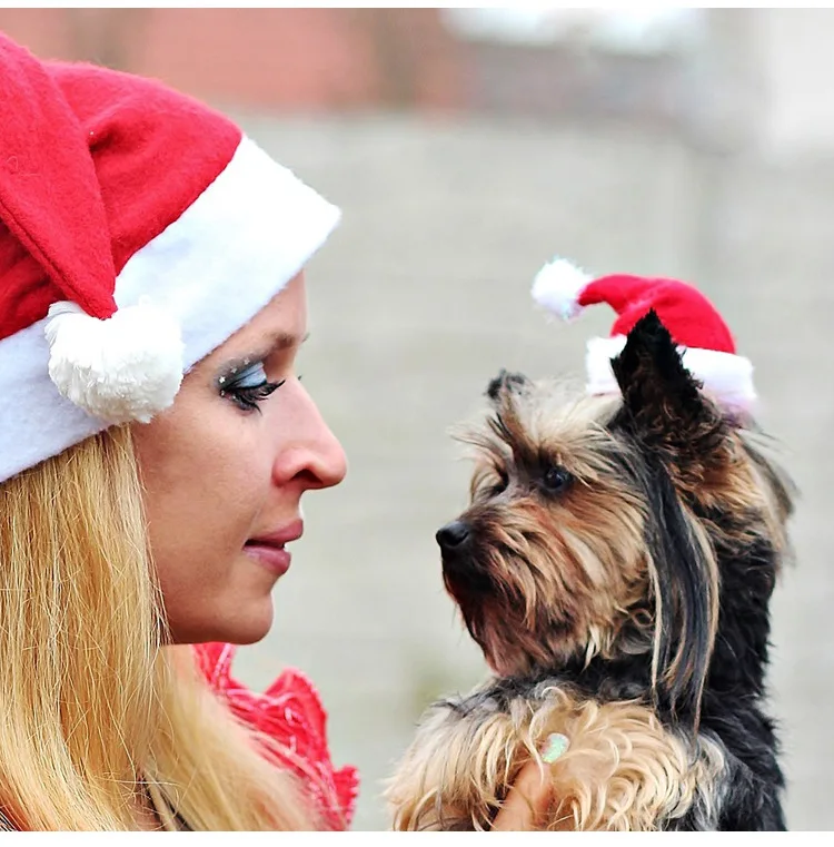 Pet accessories Santa hat cat dog puppy Christmas decoration New Year party supplies pet clothing