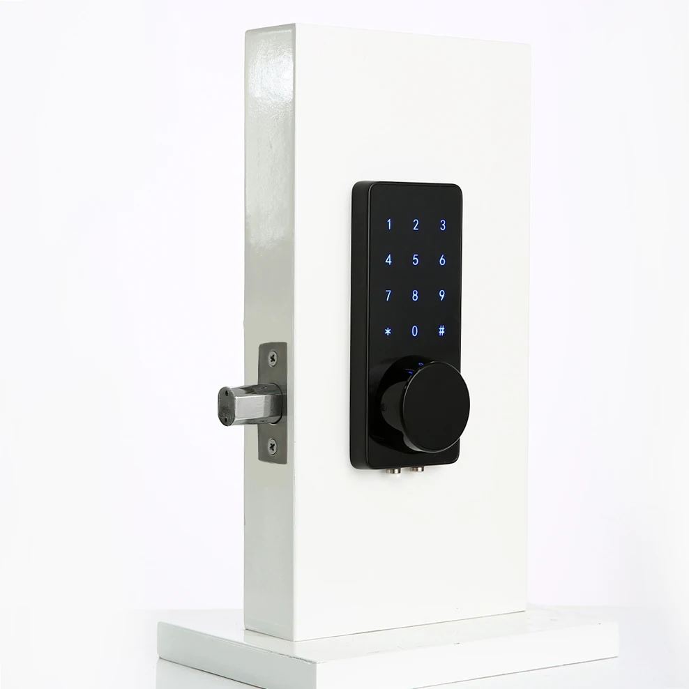 Wifi Интернет дистанционное управление сенсорный экран bluetooth Смарт засов, дверной замок