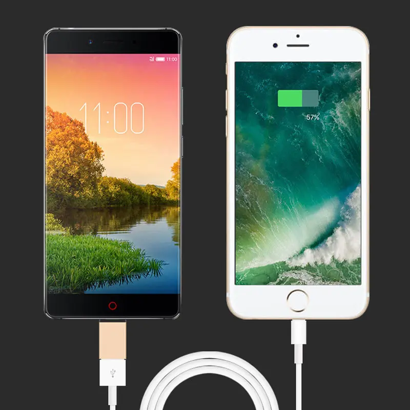 

Mini USB 3.1 Type-C Cable Adapter To USB 3.0 Aluminium Alloy OTG Converter For All Type-c Mobile Phone Tablet PC Macbook GV99