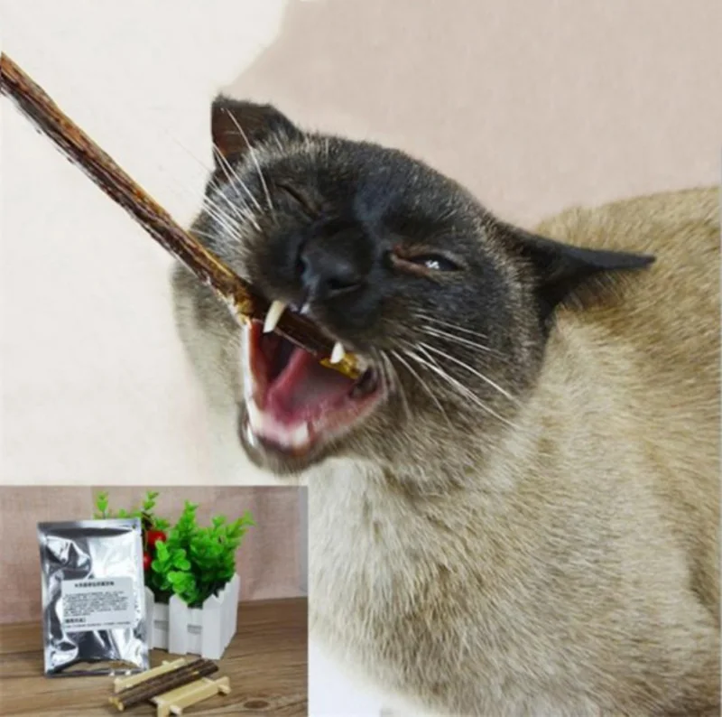 10 шт./Партия натуральная кошачья мята для кошек снэки палочки для чистки зубов игрушки для кошек