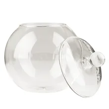 1 Набор диаметр 10 см прозрачный микро мясистый бриофит пейзаж стеклянная ваза бутылка с крышкой домашний свадебный Декор Ремесло Gif