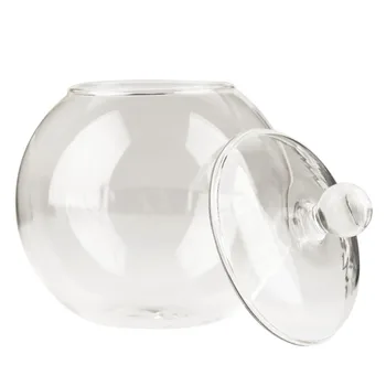 

2018 1 set Diameter 10 cm Transparent Micro Meaty Bryophytes Landscape Glass Vase Bottle With Cover Home Wedding Decor Craft Gif