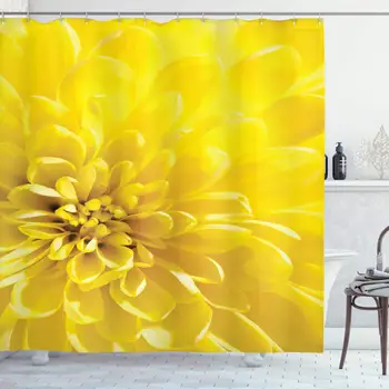 

Yellow Decor Collection, Bright Vibrant Blooming Sun Flower Bridal Botanical Nature Picture for Home Design Summer, Polyester