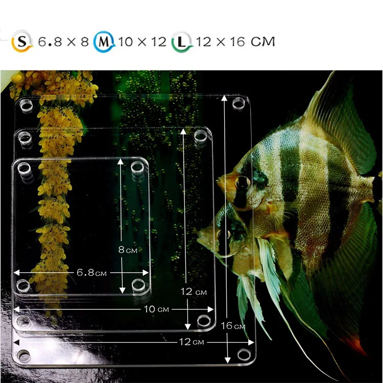 HTB1vgmLaYj1gK0jSZFuq6ArHpXaS