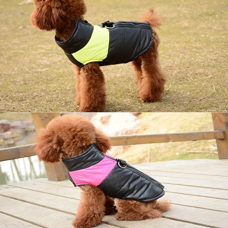 Pet осень-зима флис теплый 2-клёш одежда утепленный костюм маленьких собак в холодную погоду с принтом «любящее сердце» футболки Одежда для собаки
