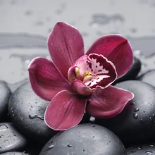 GATYZTORY 5D алмазная живопись полный квадратный DIY домашний декор мозаика стразы на заказ логотип красный цветок и черный камень