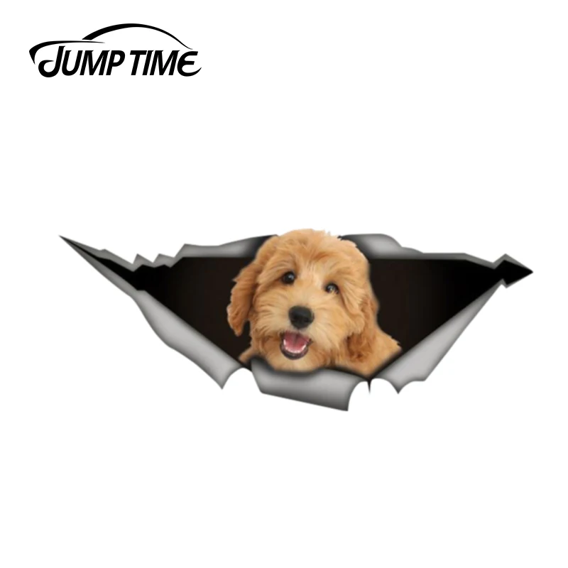 Прыгать время 13 см x 8 6 Goldendoodle автомобиля наклейка на бампер автомобильные