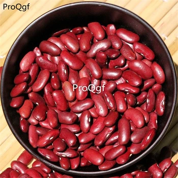 

Ngryise 500Pcs A Set dark red Phaseolus vulgaris
