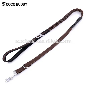 

2 In 1 Adjustable Dog Leash with Elastic Nylon Bungee Pet Car Safety Seat Belt