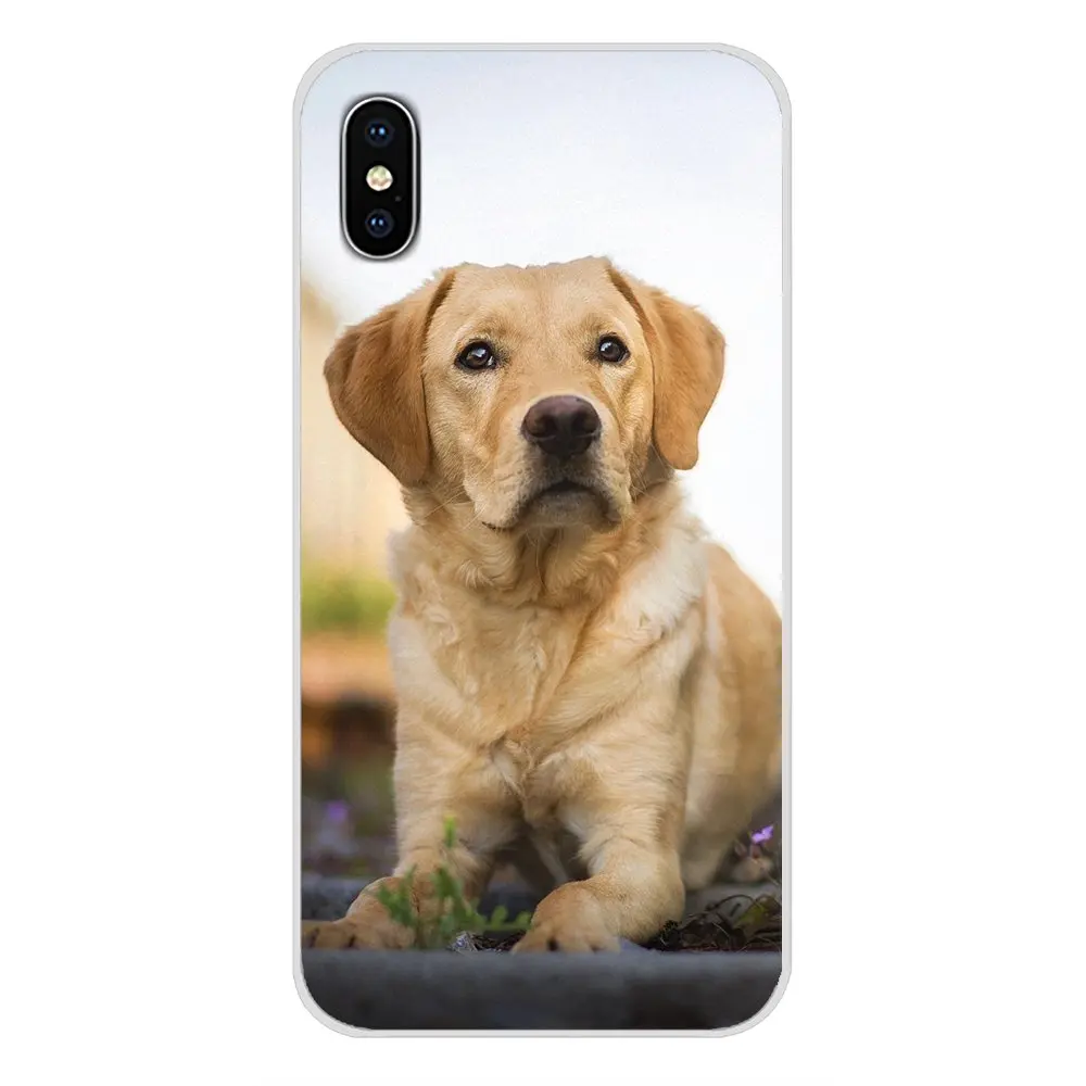 Прозрачные мягкие чехлы Чехлы забавные Лабрадор собака для huawei G7 G8 P7 P8 P9 P10 P20 P30 Lite Mini Pro P Smart Plus