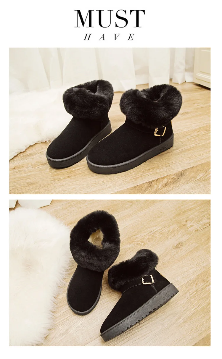 11754027744_942373533