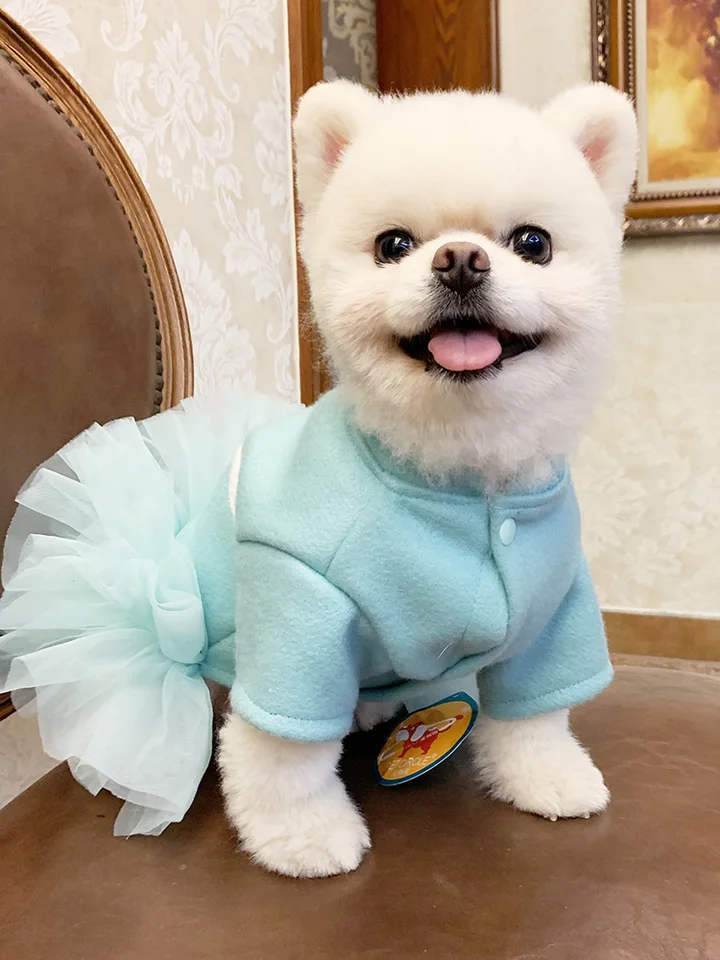 pomeranian dog sweaters
