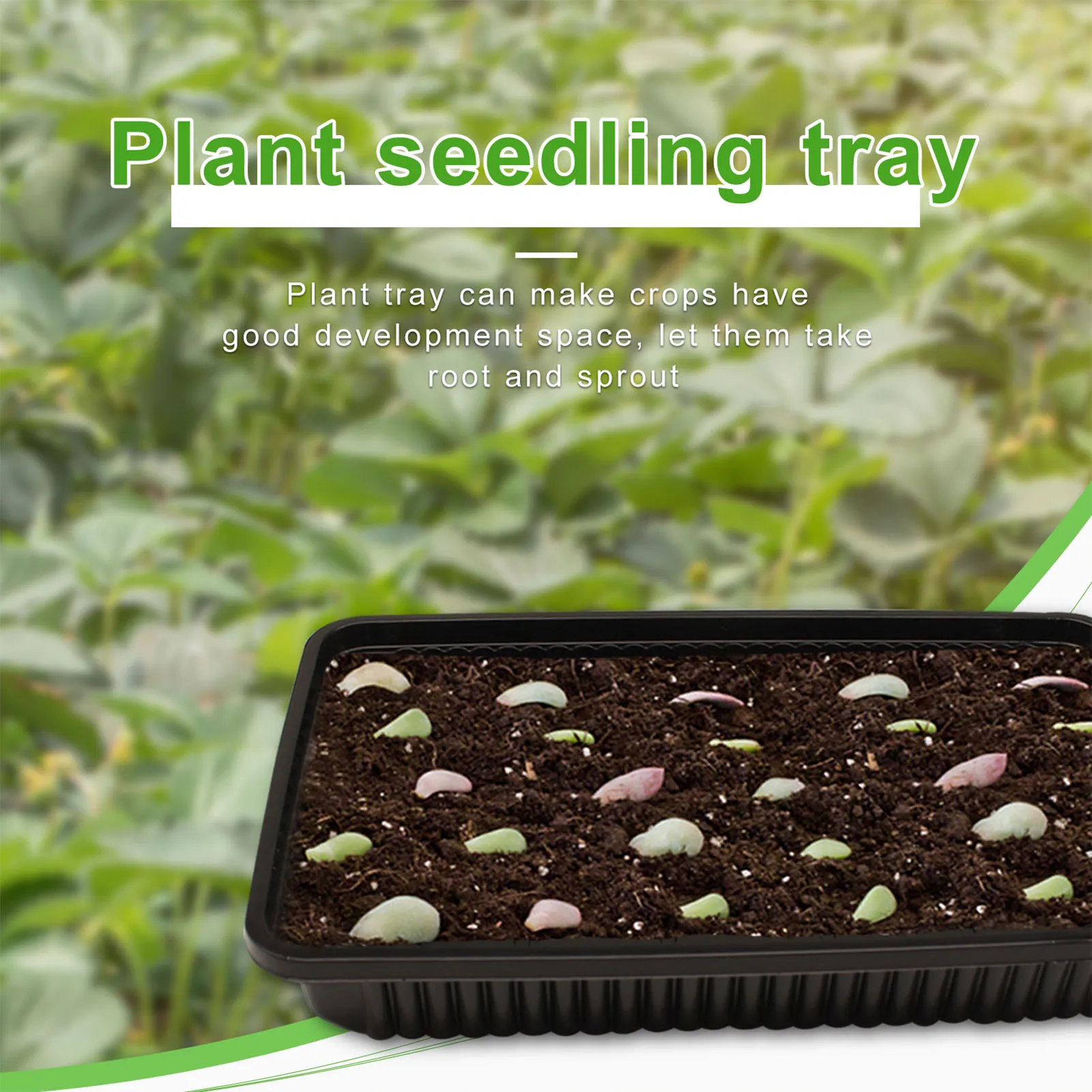 10PCS Plant Germination Tray No Drain Holes Plant  Seedling Tray Plant Germination Tray No Drain Holes Plant  Seedling Tray