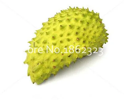 20 шт. Soursop бонсай фрукты, Graviola Annona муриката сладкий СОП вкусные фрукты бонсай сахар яблоко Annona дерево растение в бонсай - Цвет: 7
