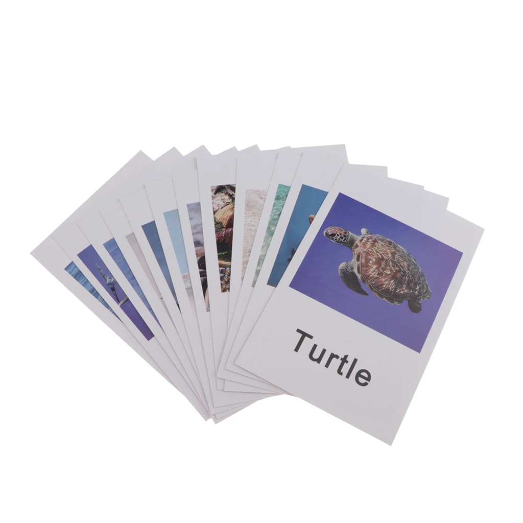 Montessori Animal Match - Miniature Ocean Animal Toy Figurines with Matching Cards - Kids Language Materials Busy Bag Activity