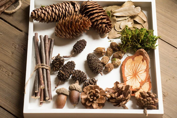 Vintage Photo Props Female Hand-Made DIY Material Package Natural Micro-Landscape Twigs Acorns Dried Flowers QW96 (2)