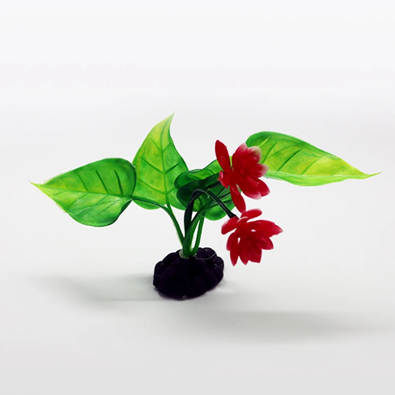 假草（12）