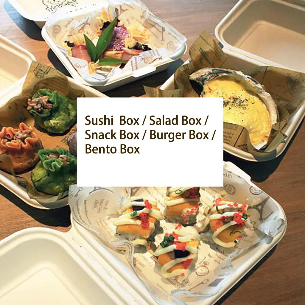 Bento Box Disposable Lunch Box Burger Sushi Snack Baked Cake Microwave Home Portable Lunch 10 Pack