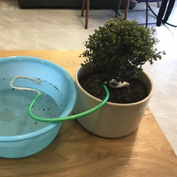 

5PCS Self Watering Wick Cord Plants Vacation Auto Drip Irrigation Waterer2020 New DIY Drip Irrigation System Plant Waterers