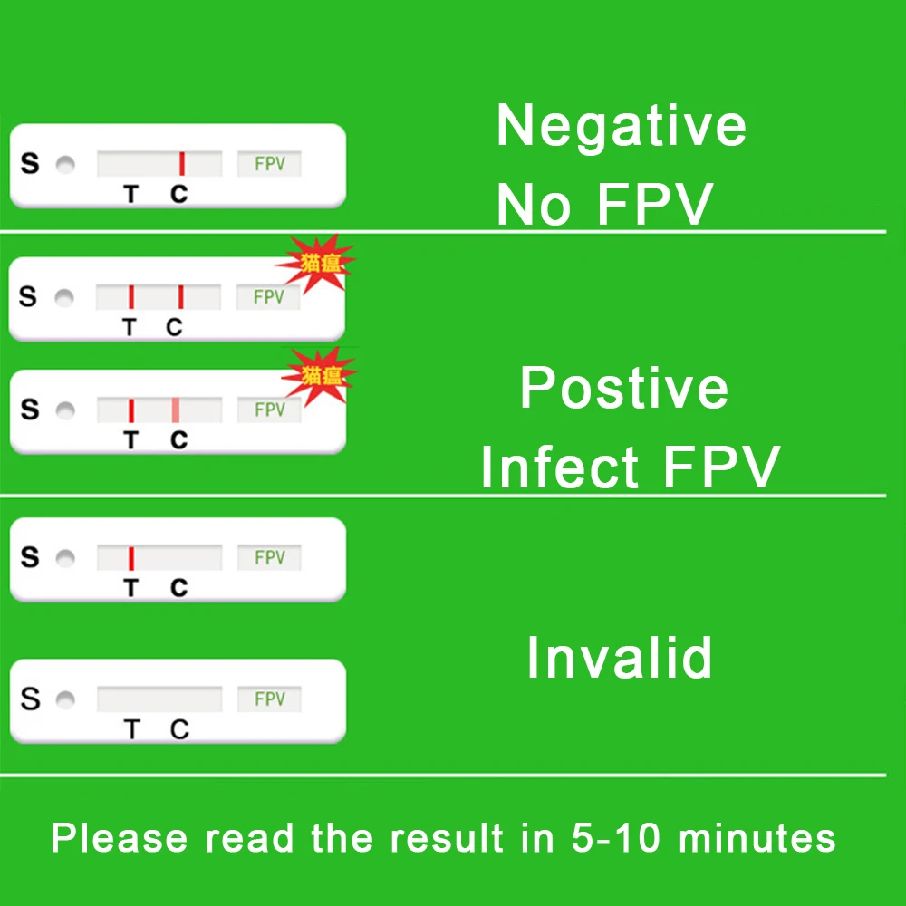 13PC Pets Cats FPV Test Sticks Paper Canine Home Health Detection For Distemper Parvovirus Virus FPV Cats Health Care Supplies (3)