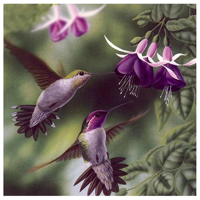 

Diy Diamond Painting Cross Stitch Bird Flower 5D Round Rhinestone Picture Full Diamond Embroidery Mosaic Crafts Handmade