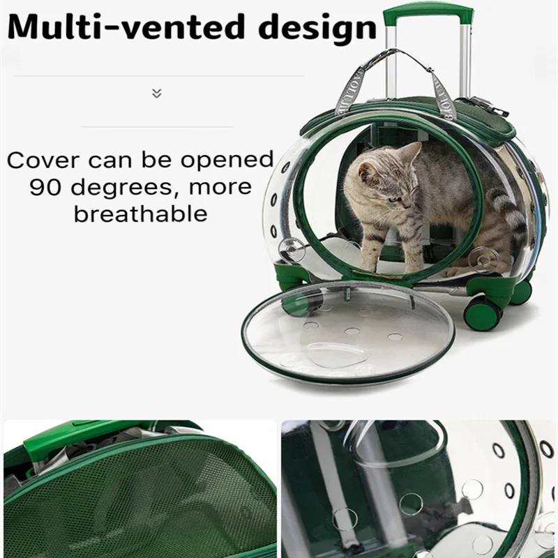 cat carrier