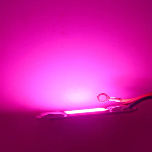 LED 성장 COB 조명 칩, 풀 스펙트럼 AC 220V 10W 20W 30W 50W, 성장 꽃 묘목 성장 식물 조명용 드라이버 필요 없음 3