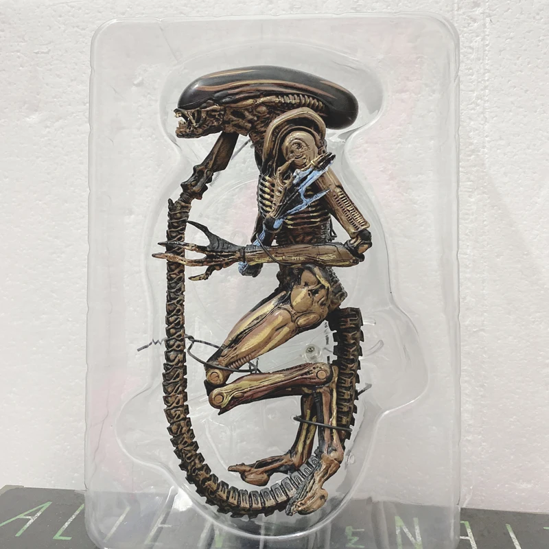 Alien (3)_wps图片