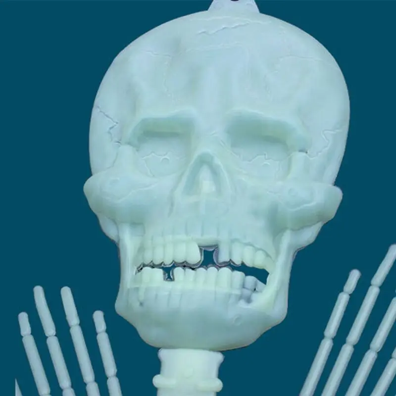 

Halloween Skeleton Luminous Glow-in-The-Dark Skeleton for Halloween Party Bar Wall Sticker Decorations Outdoor Yard Garden Hangi