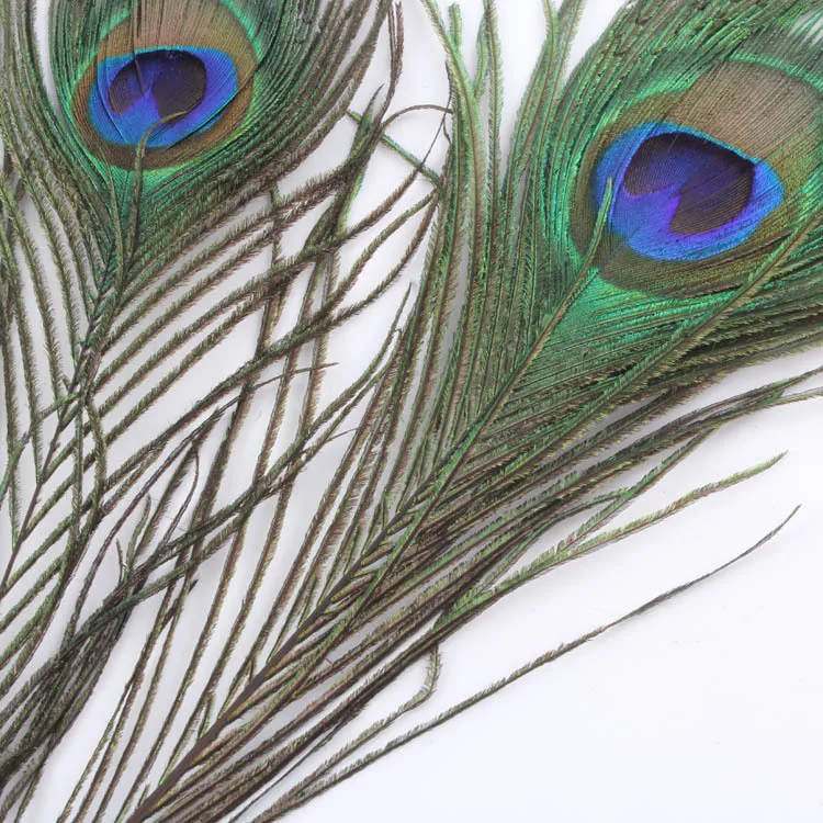 10Pcs Natural Peacock Feather Holiday Party  Plumage Fashion Crafts Beautiful Decorative 25-30cm 4