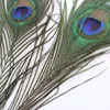 10Pcs Natural Peacock Feather Holiday Party  Plumage Fashion Crafts Beautiful Decorative 25-30cm 4