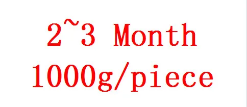 2-3 MONTH 2~ 3 месяца 1000 г/шт. силиконовый живот с подтяжками брюки поддельные беременный живот для ложной беременности живот жир живота - Цвет: 2-3 MONTH